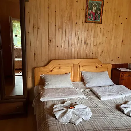 будиночок мойсейчуків Krivorovnya