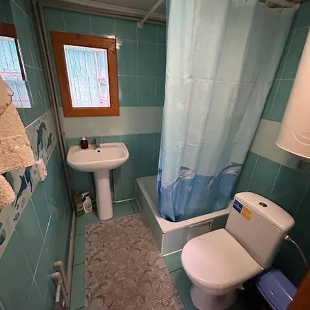 будиночок мойсейчуків Apartment Krivorovnya