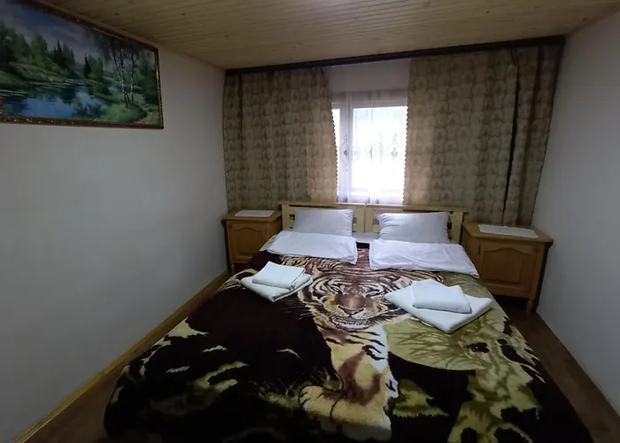 Apartment будиночок мойсейчуків Krivorovnya