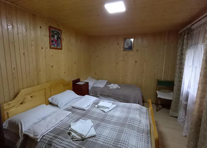 будиночок мойсейчуків