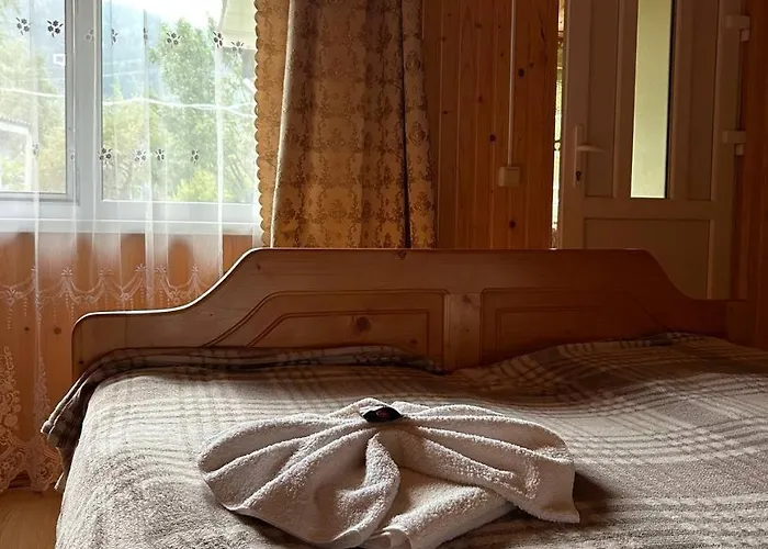 будиночок мойсейчуків Apartment